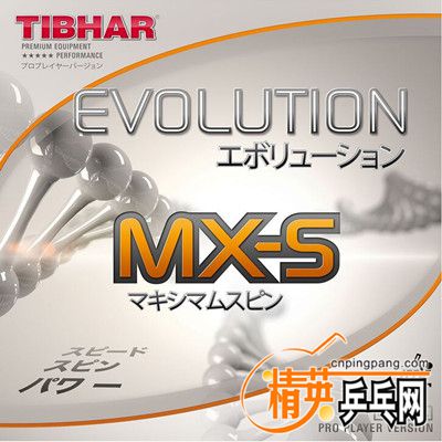 EVOLUTION TION MX-S  MX-S.jpg