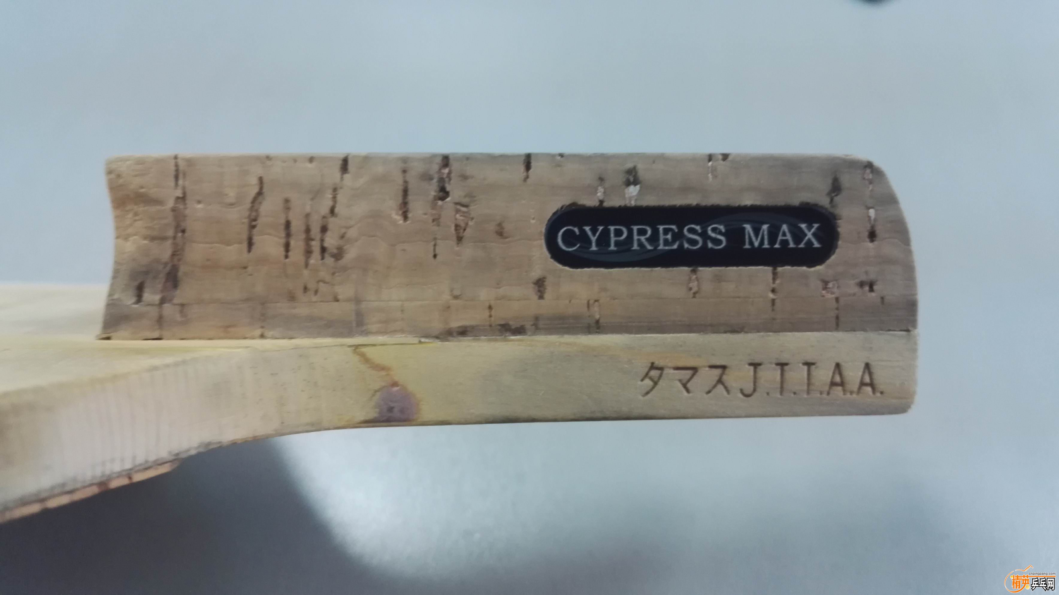 С Cypress Max.jpg