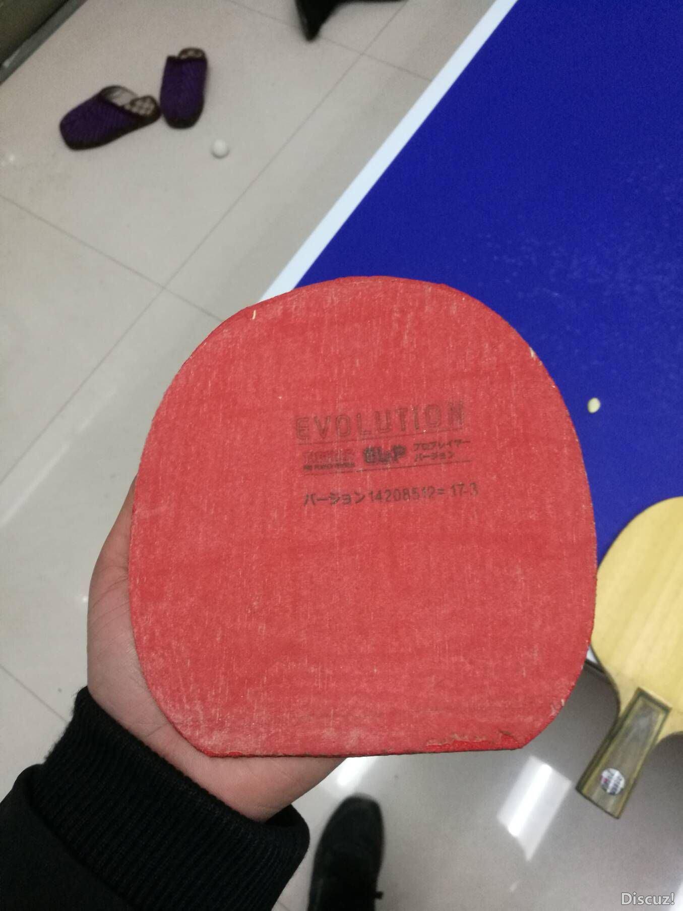 ELP2.jpg
