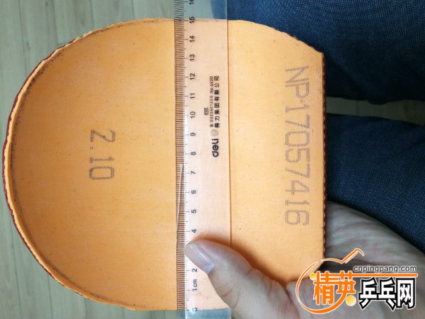 IMG_20180831_135317.jpg