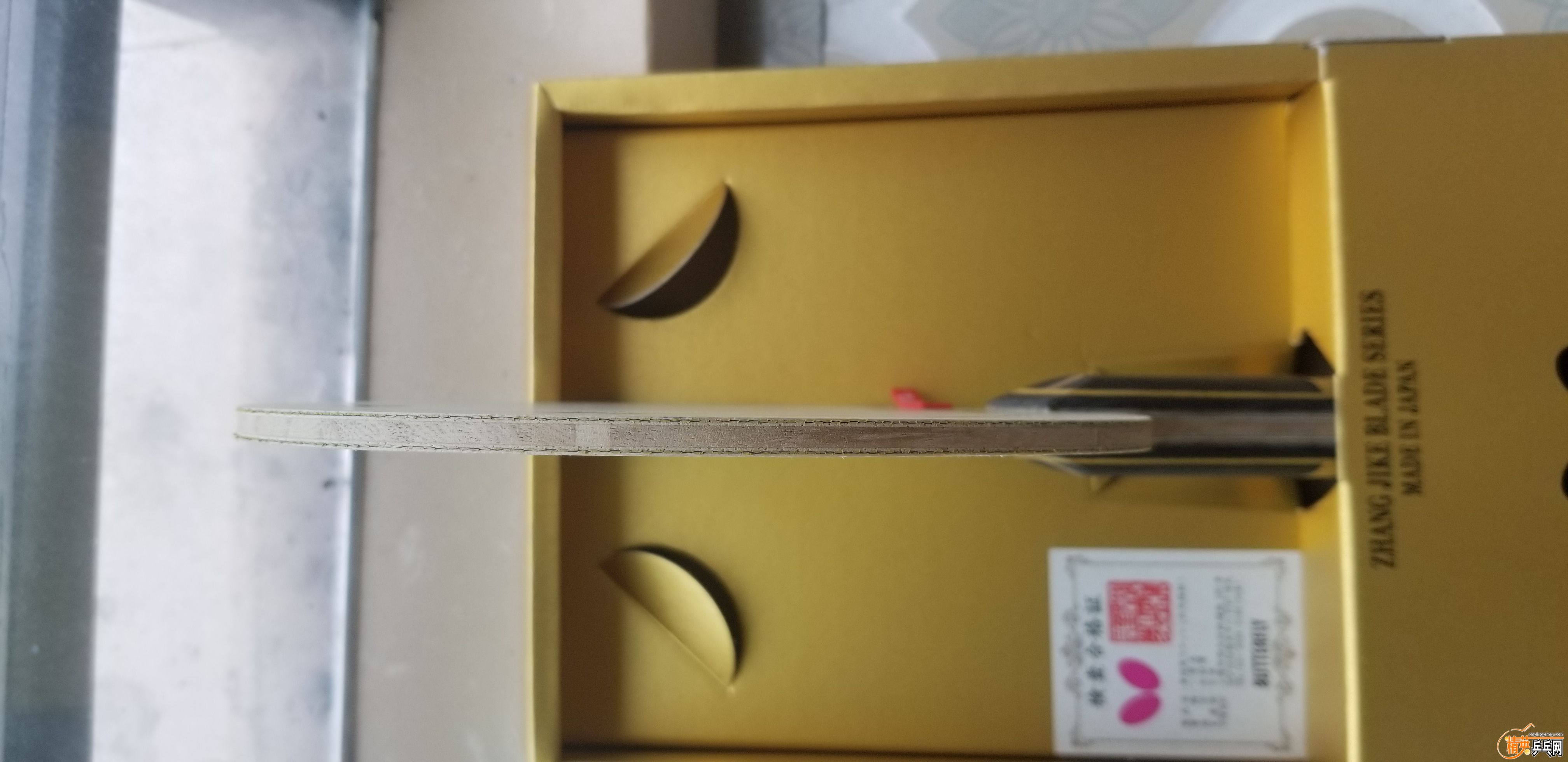 20191005_112753.jpg