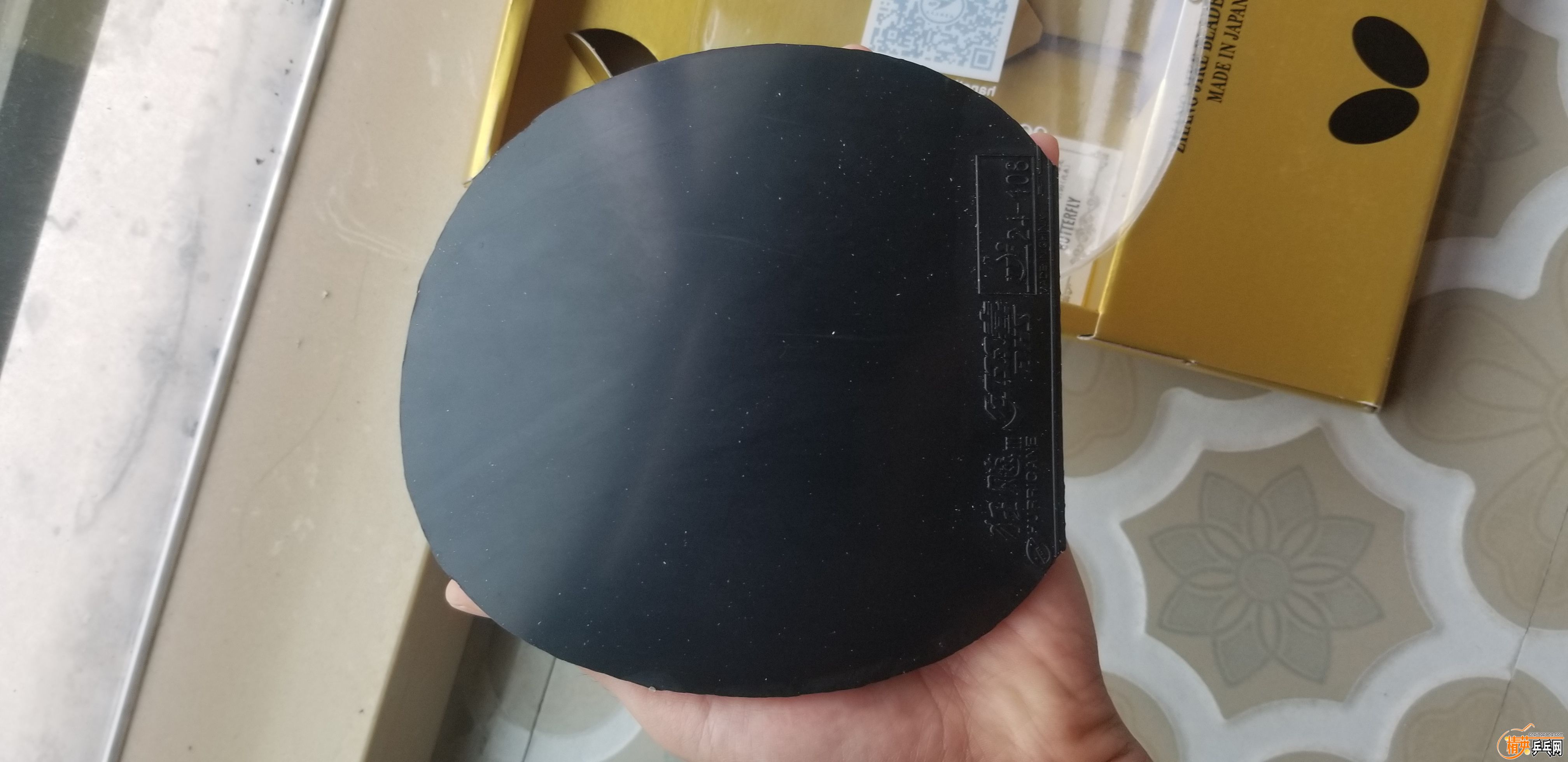 20191005_113317.jpg