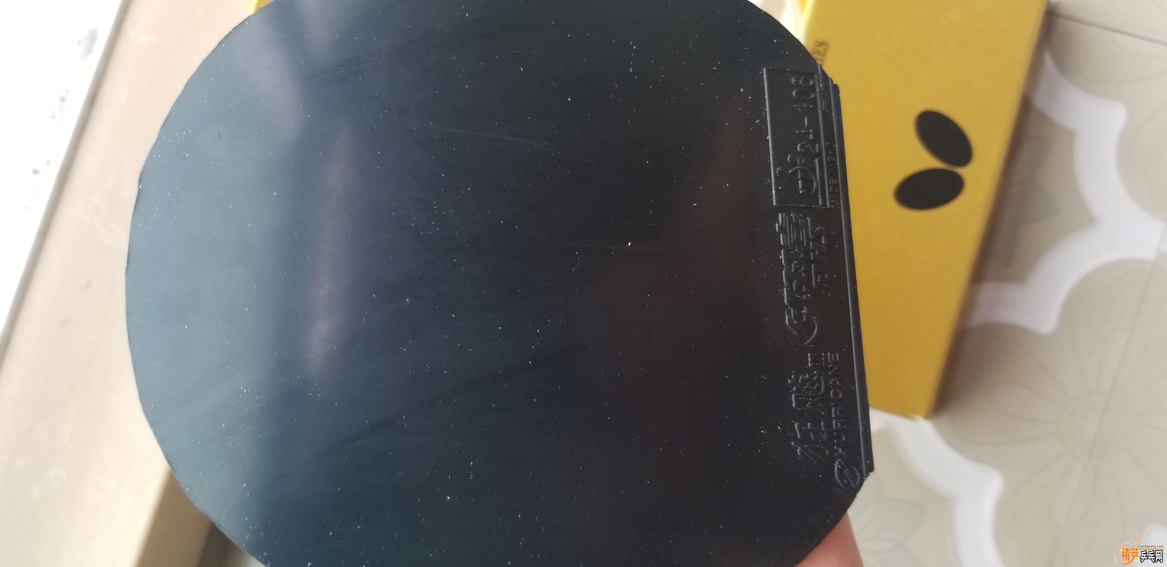 20191005_113328.jpg