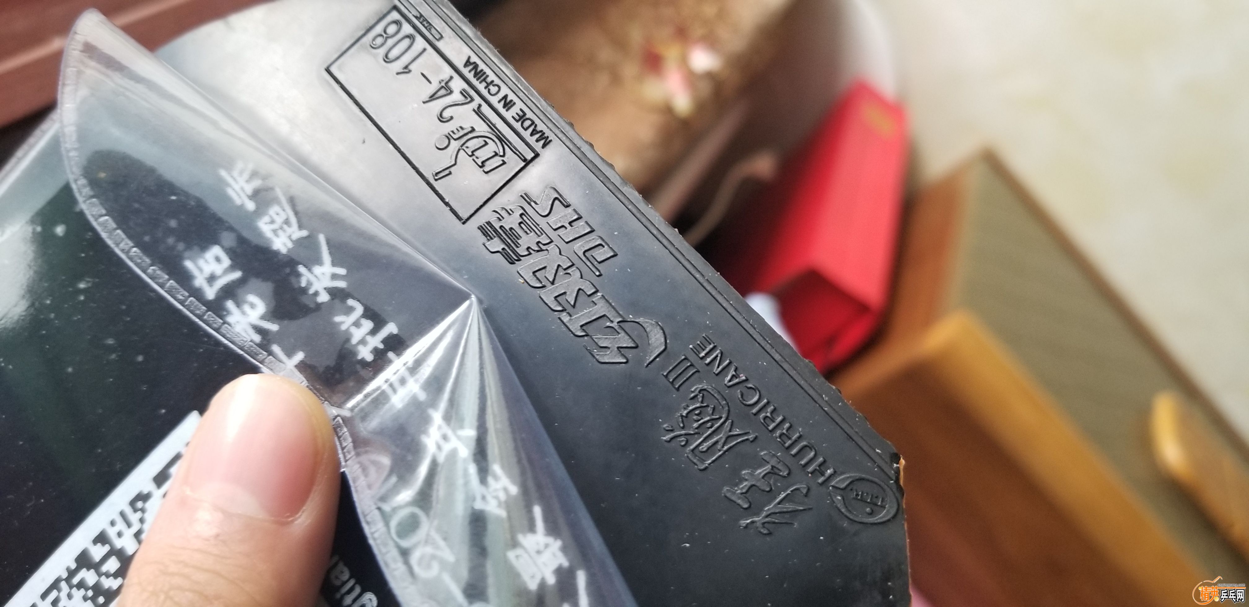 20191005_120230....jpg