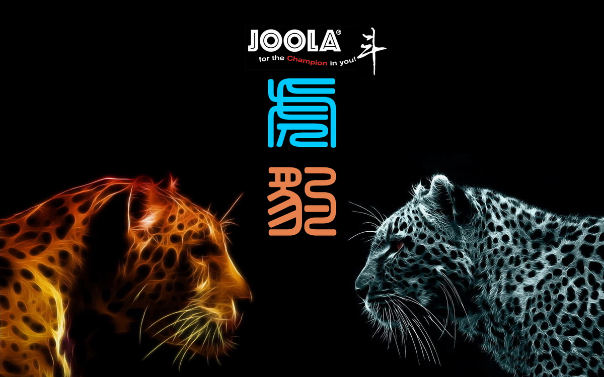 һֻ񲻿ɵĻƽԱ JOOLA  Leopard  װ