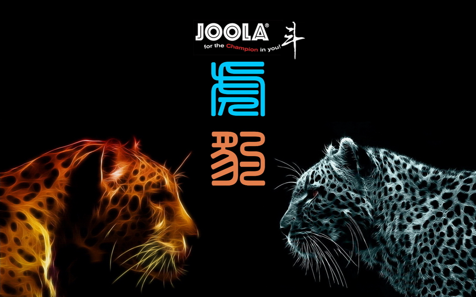 һֻ񲻿ɵĻƽԱ JOOLA  Leopard  װ