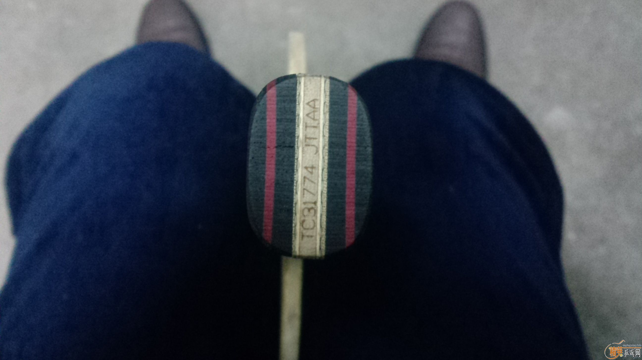 [ԭ��]������ʱ������230Ԫ���ʣ��������齺Ƥ