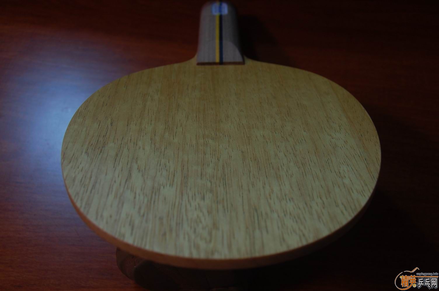 ������������Banda Waldner ST������������