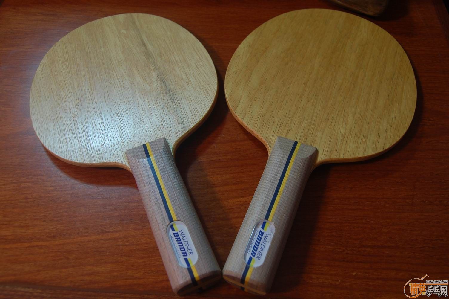 ������������Banda Waldner ST������������