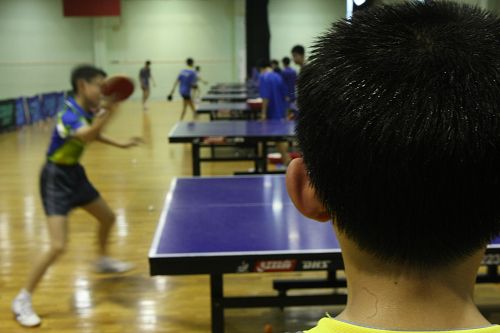 ͼ�ģ�����Ư�塱ѵ����״ ��Ա�Ƿ���Կ�