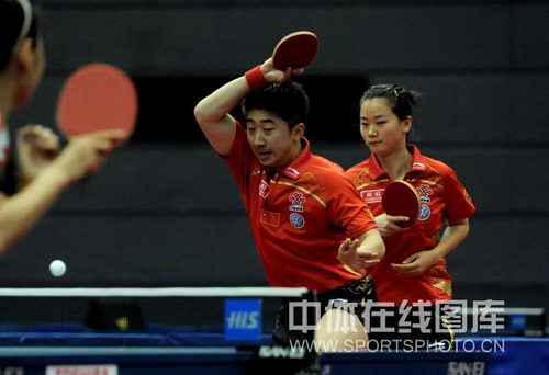 ͼ�ģ���ƹ����ƹ�߶Ի�˫��ս ������ֿ�ɱ