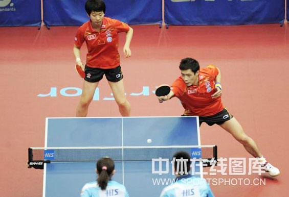 ͼ��-��ƹ����˫���������ݿ�/���������