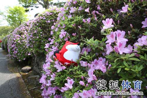 ͼ�ģ��Ѻ�������ս��������� С�����ڴ���Ц