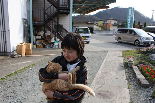 ͼ�ģ��°渣ԭ���ɰ� �����ﶼ����è��ɣ��