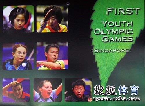 ͼ�ģ�ƹ���Ƴ�2010���� ����������»�