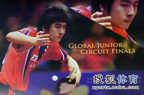 ͼ�ģ�ƹ���Ƴ�2010���� ����С������11��