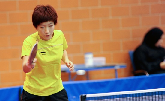 ͼ��-��ƹ�����ս��������������ʫ����������