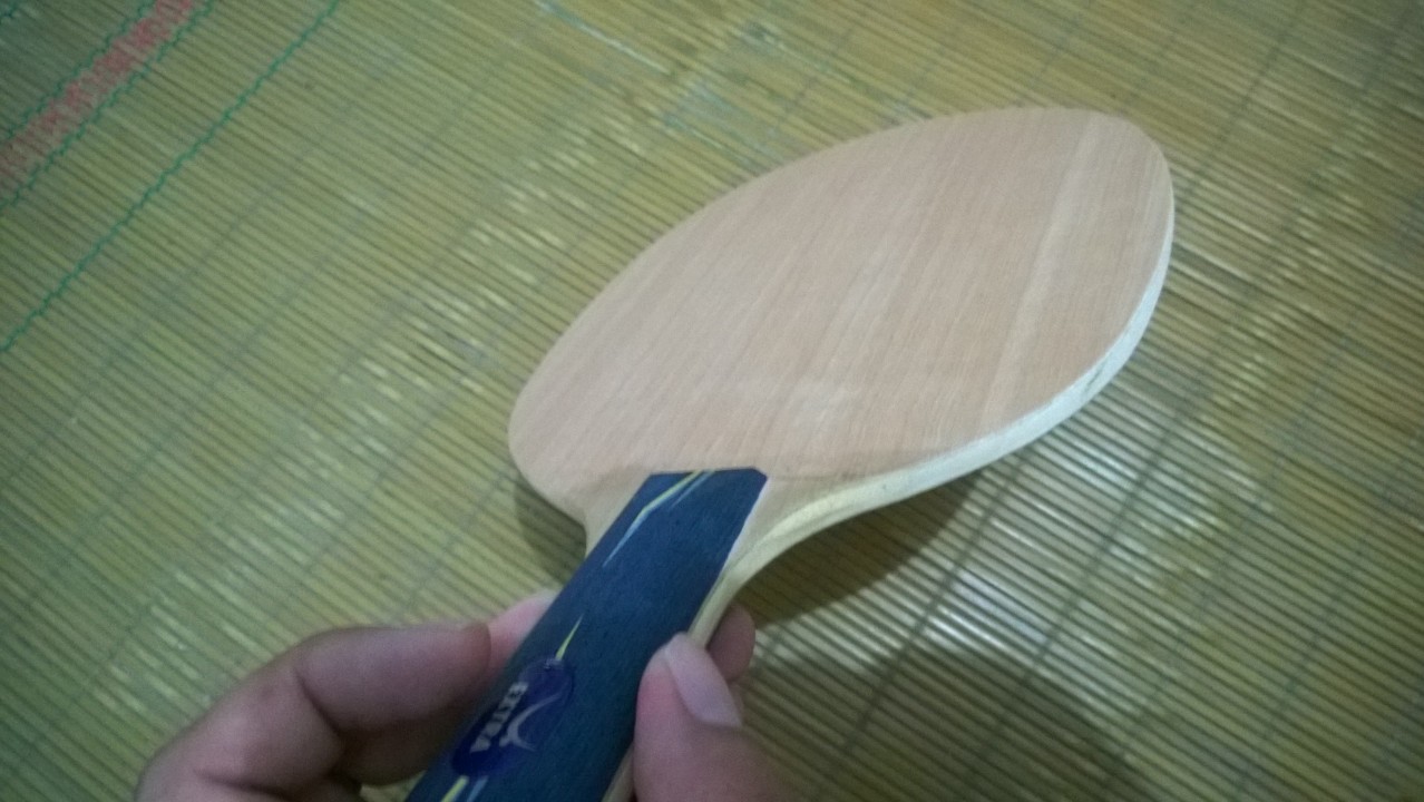 WP_20150805_005.jpg