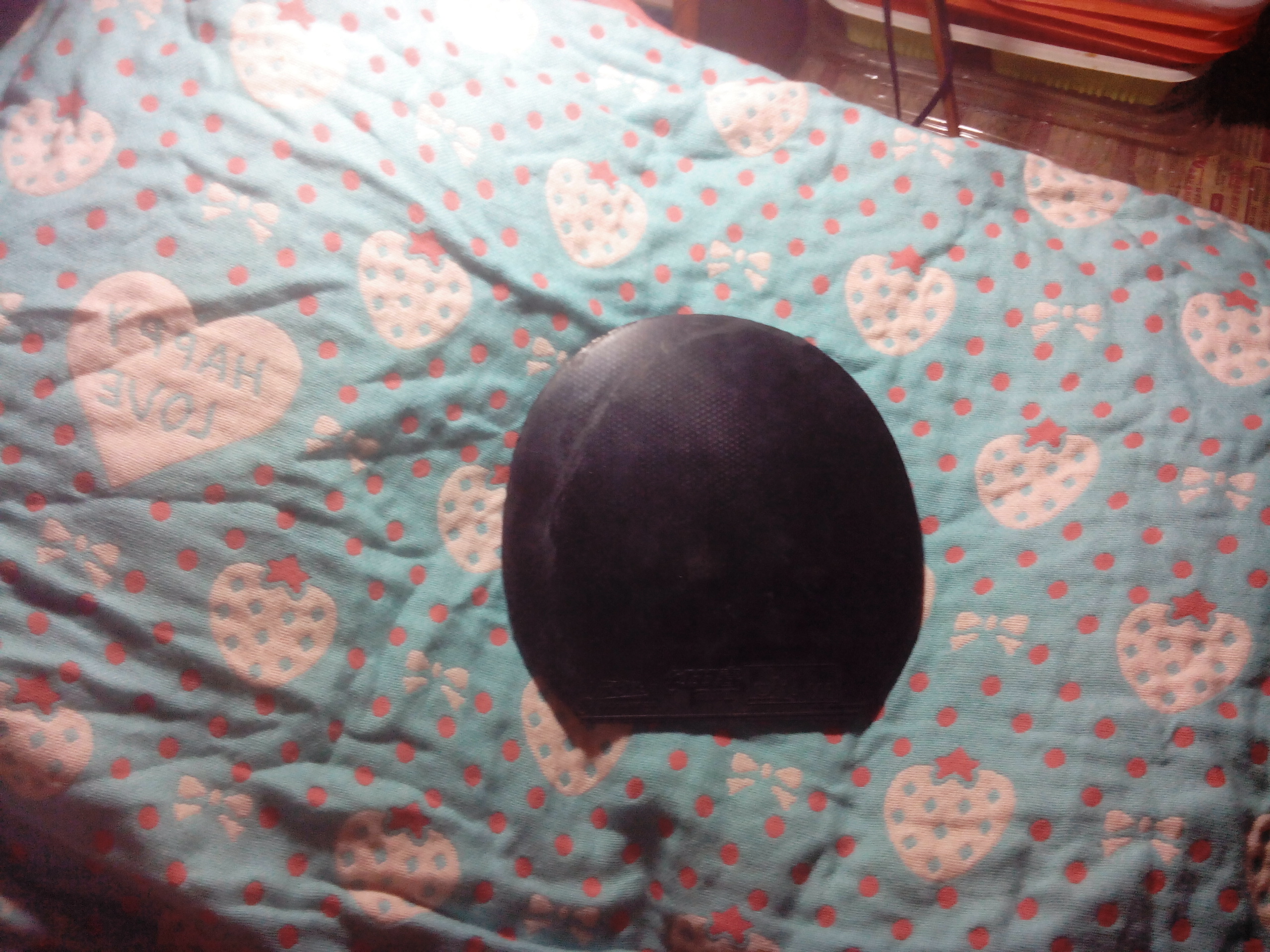 IMG20150811222107.jpg