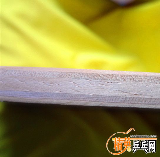 DSC06263_.jpg