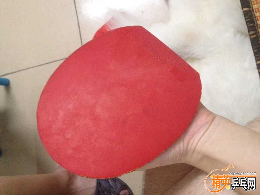 QQͼƬ20150824094209.jpg