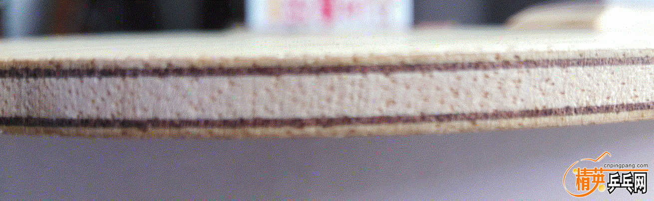 5.GIF