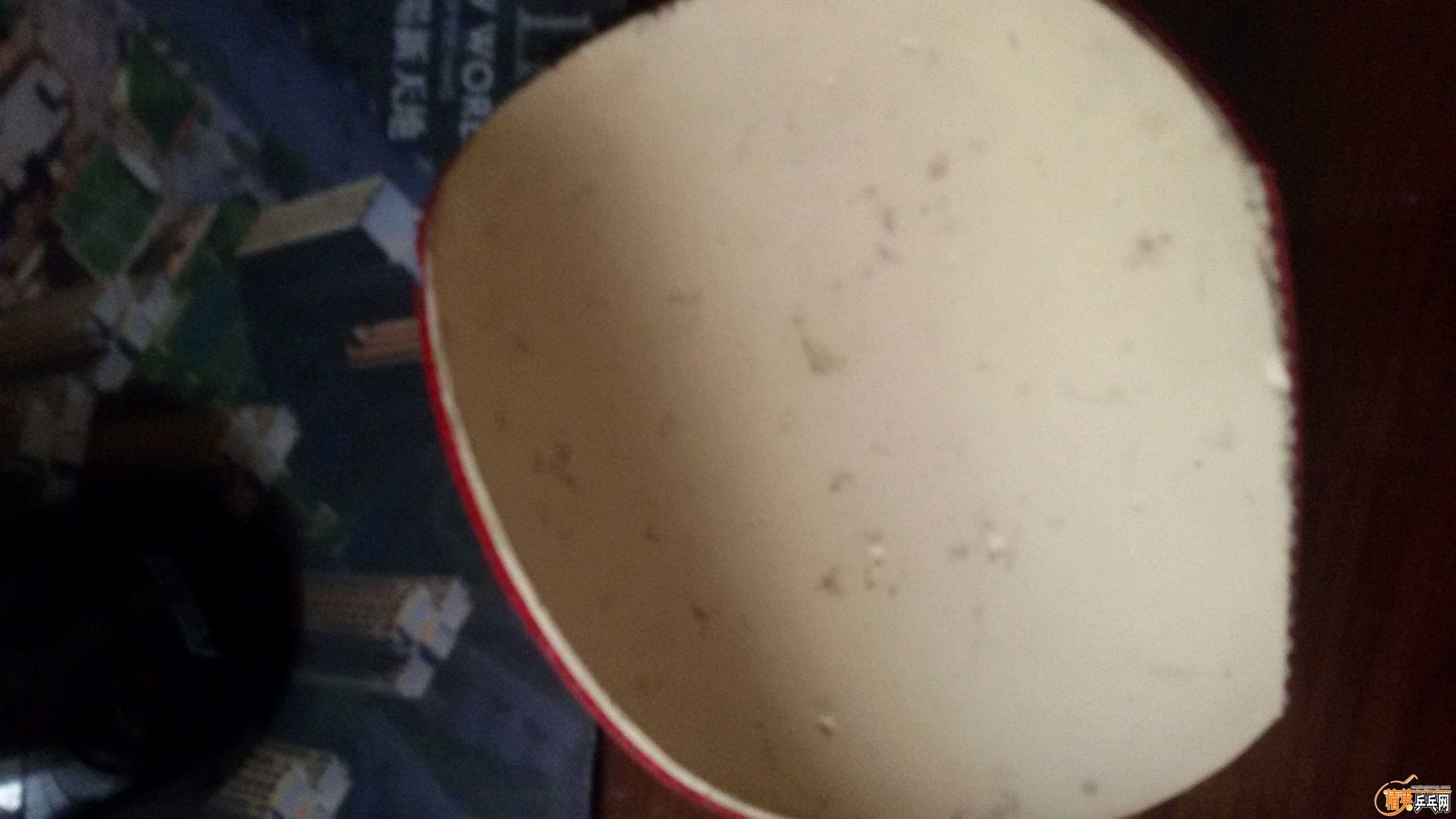 20150830_115137.jpg