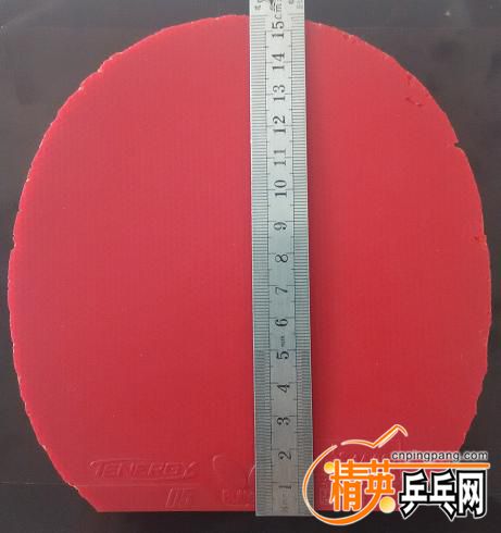 T05 2.1 SP��2.JPG