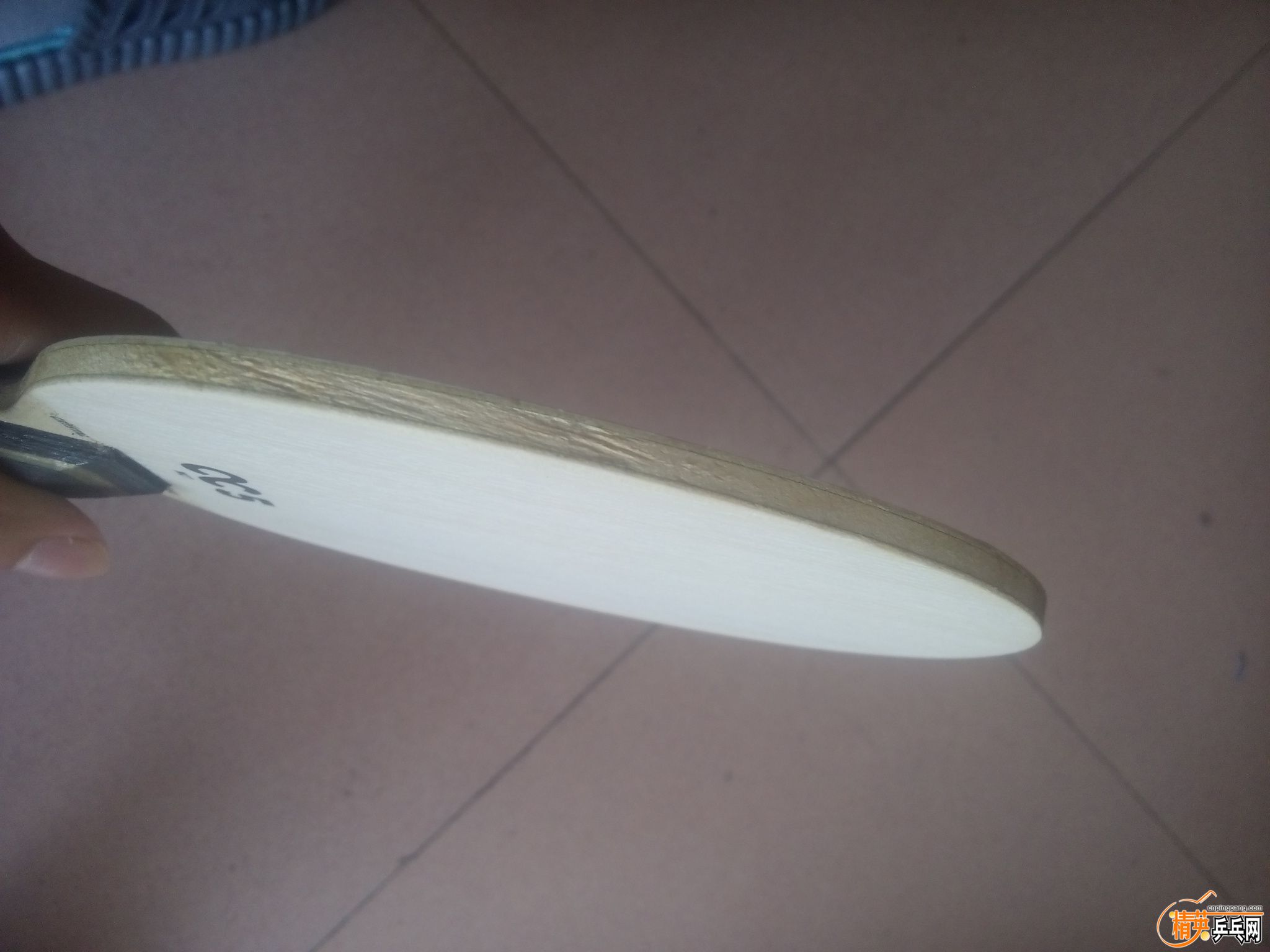 IMG20150902105018.jpg