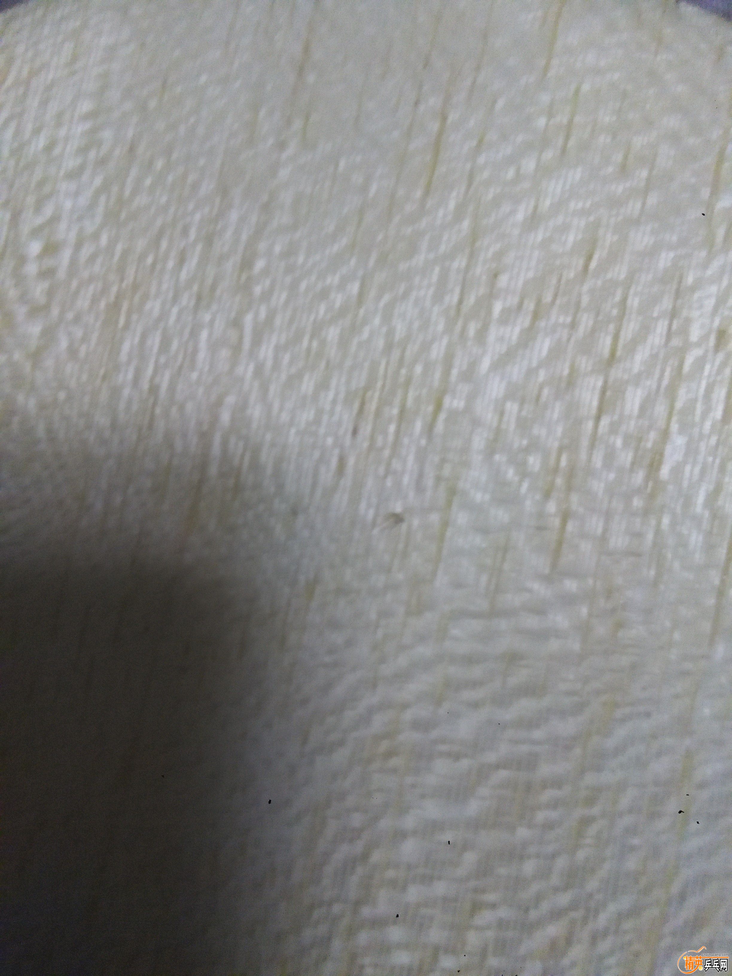 IMG_20150902_202613.jpg