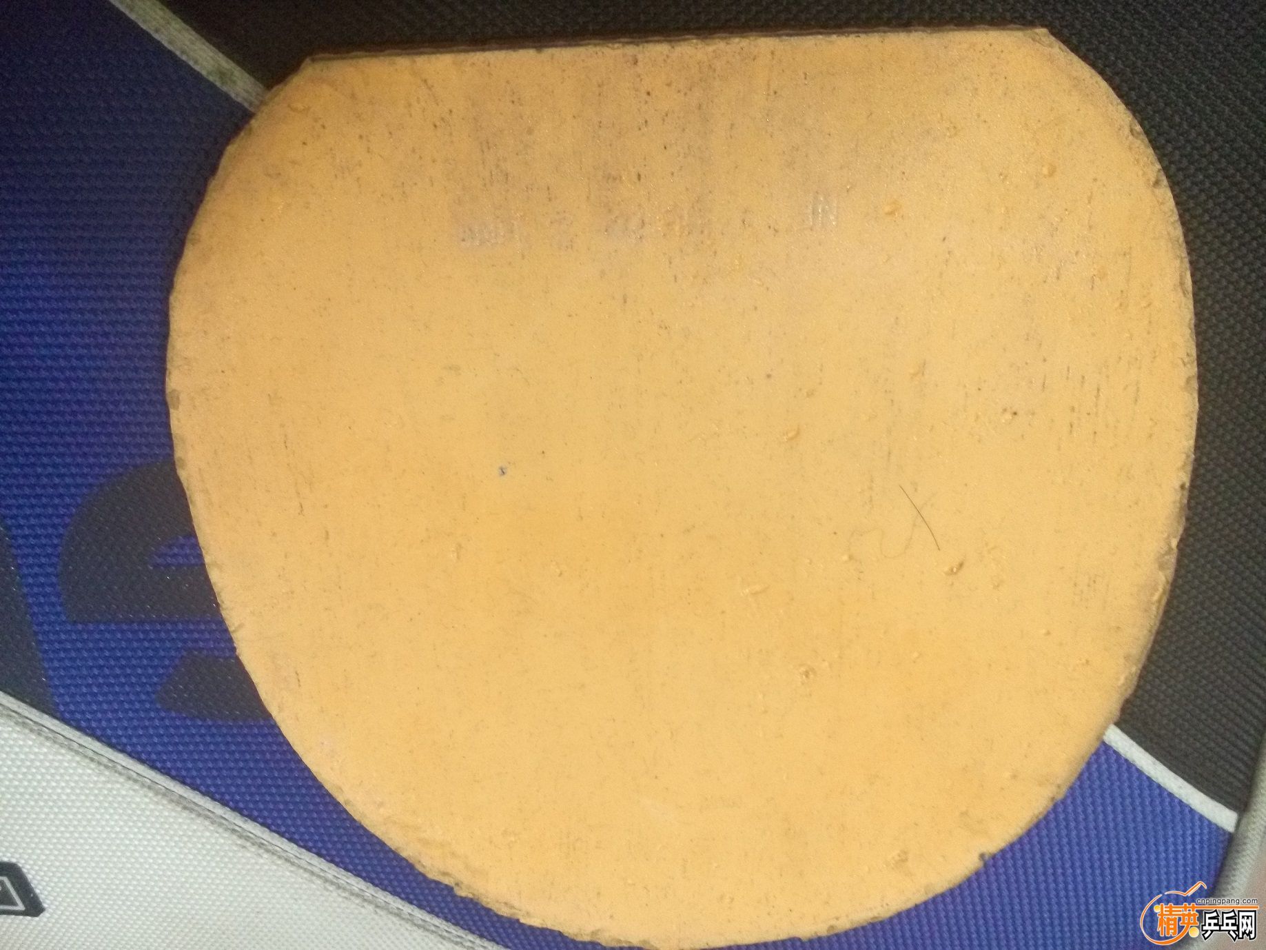 ͼƬP50904-230940.jpg