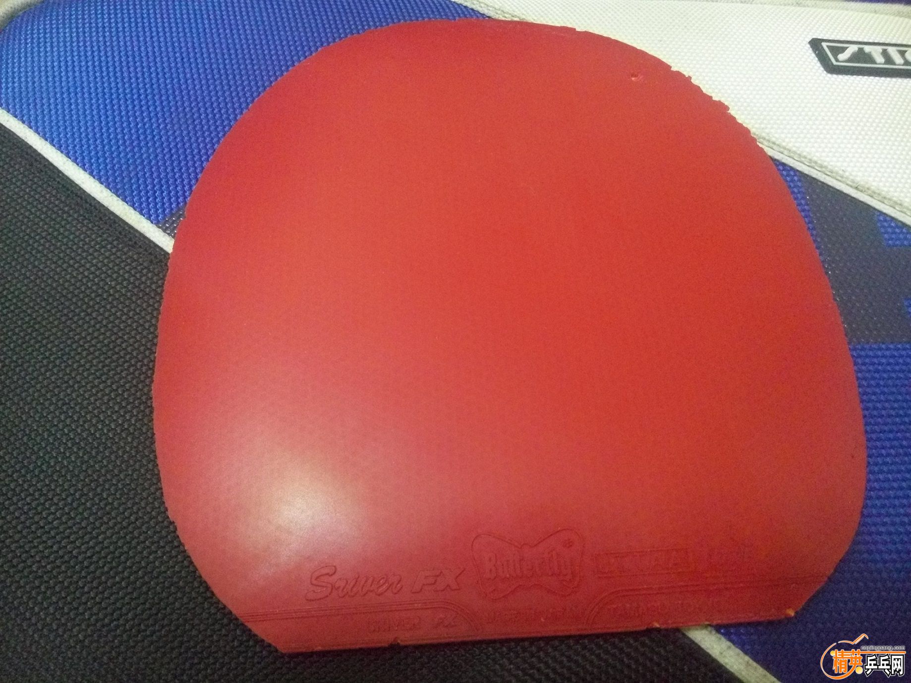 ͼƬP50904-230905.jpg