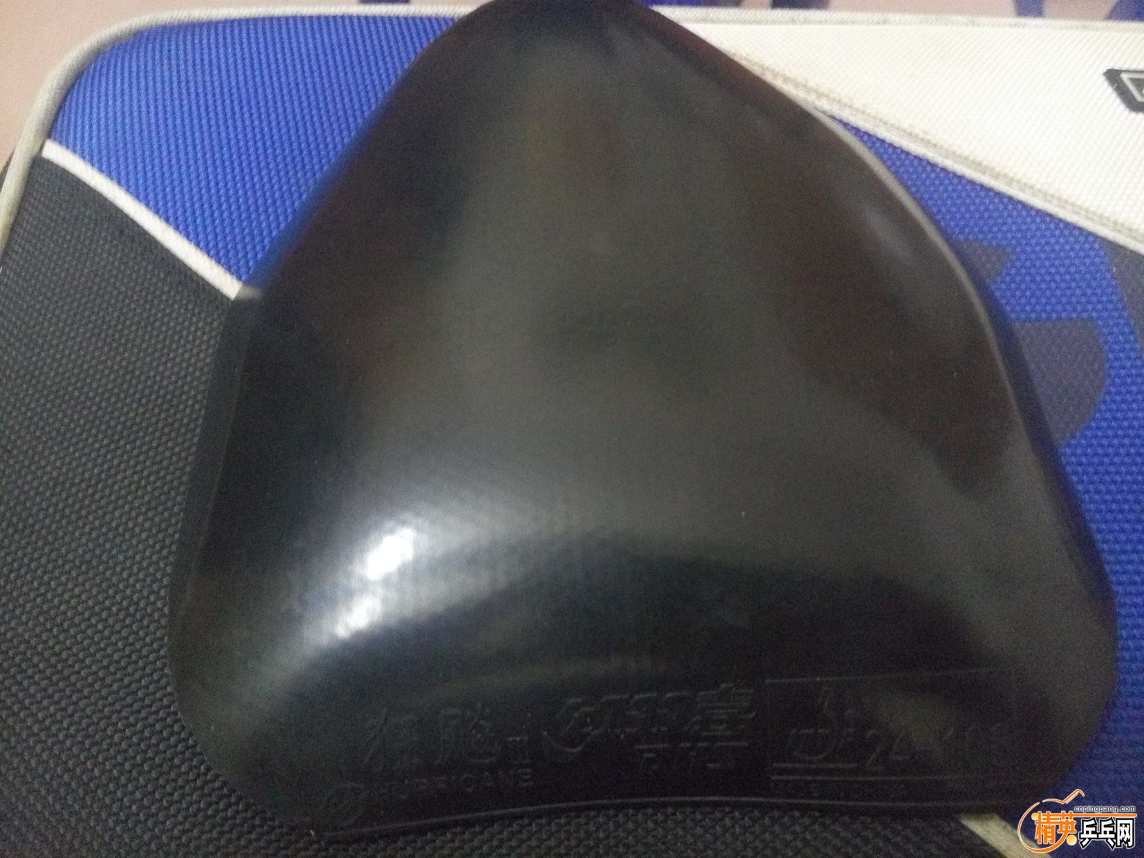 ͼƬP50904-231003.jpg