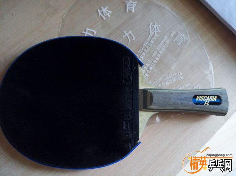 P50903-131455 (800x598).jpg