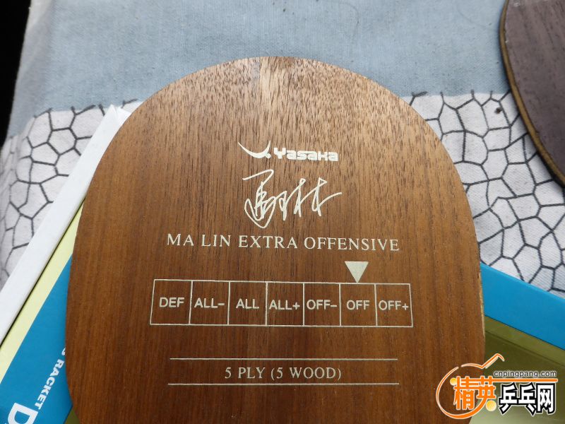 P1000958 (800x600).jpg