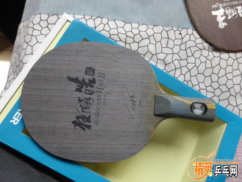 P1000959 (800x600).jpg