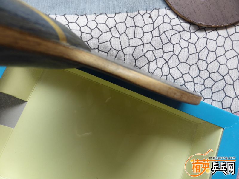 P1000962 (800x600).jpg