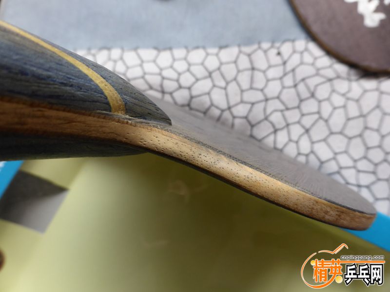 P1000963 (800x600).jpg