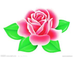 u=4115445003,2154840169&amp;fm=21&amp;gp=0.jpg