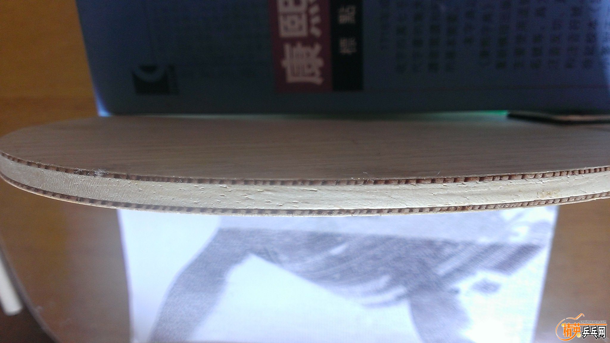 WP_20150911_026.jpg