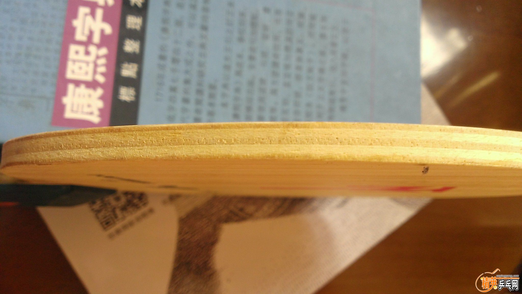WP_20150911_045.jpg