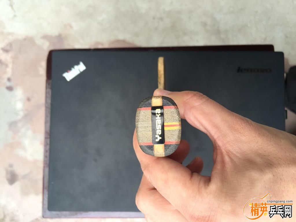 YE 2--��β��.JPG