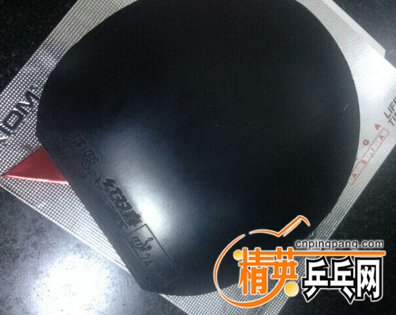 �տ�����