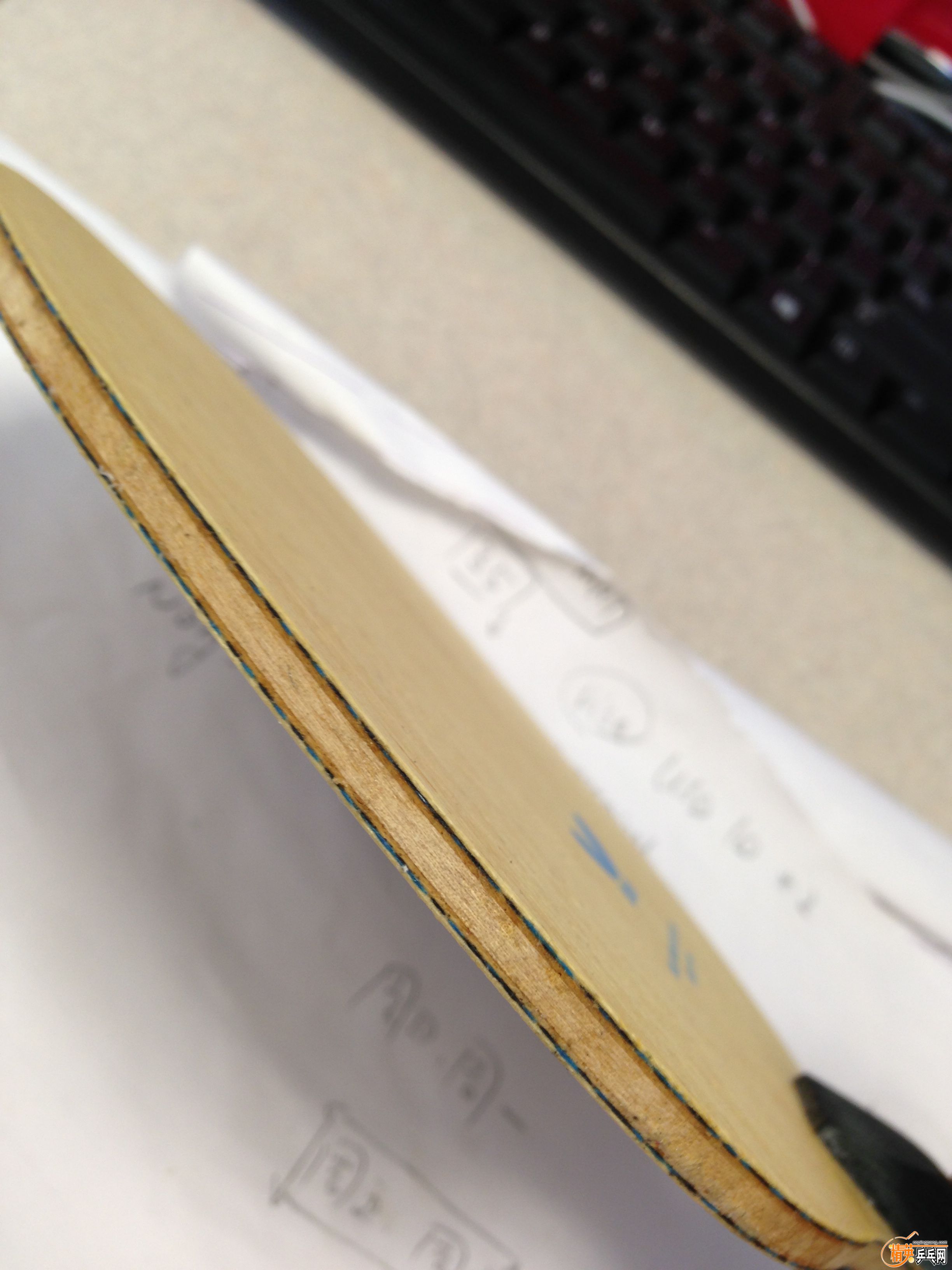 iphone5c 0918 3376.JPG