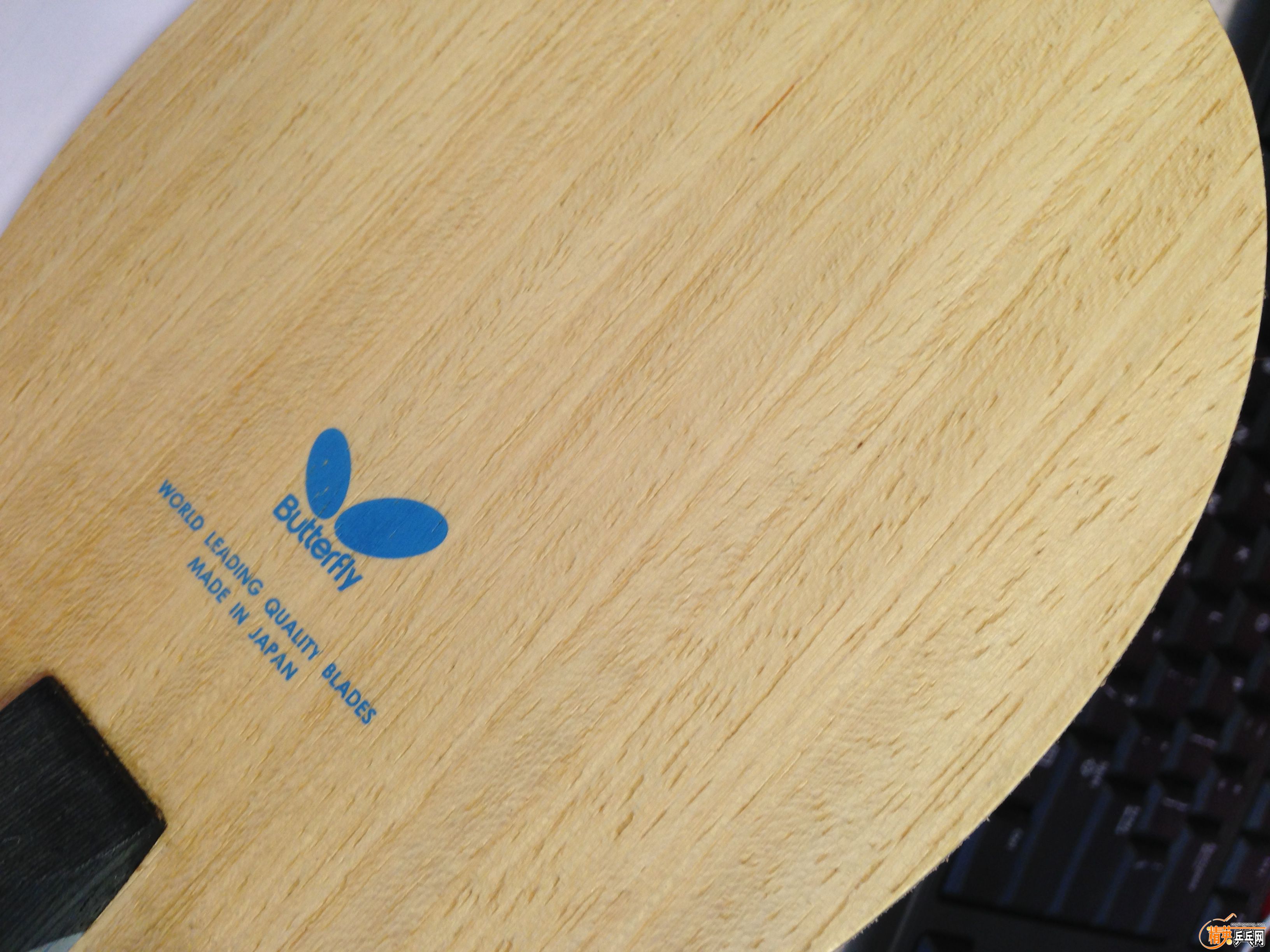 iphone5c 0918 3378.JPG