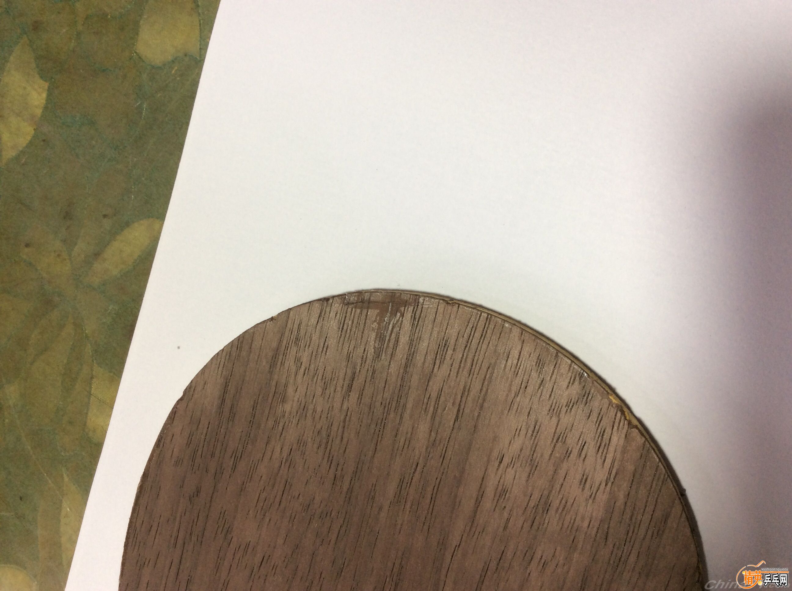 151041sggwlg0g4oaqegs9.jpg
