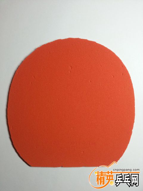 20150921_213313.jpg