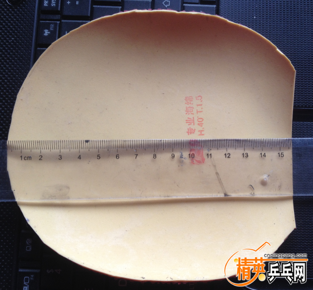 563����15.5mm