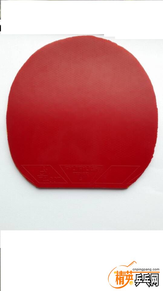 ͦ�����������棩