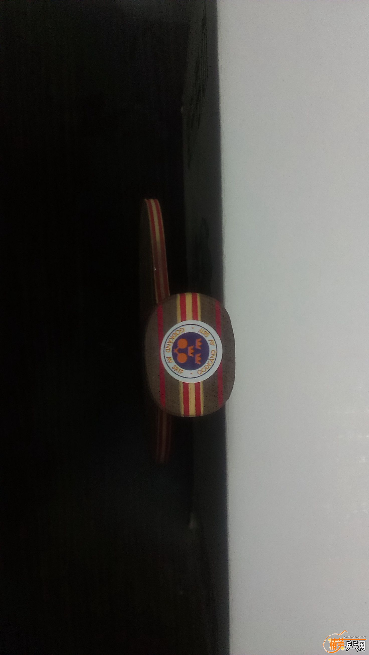 IMAG0894.jpg